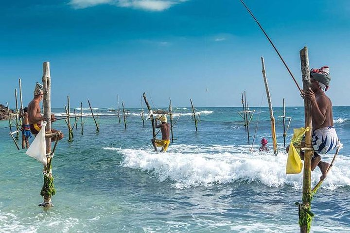 Stilt Fisherman